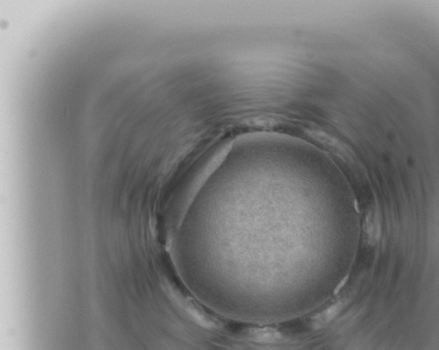 X0000073750424200608102025