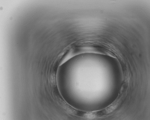 X0000073750425200608102025