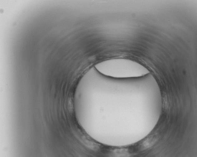 X0000073750426200608102025