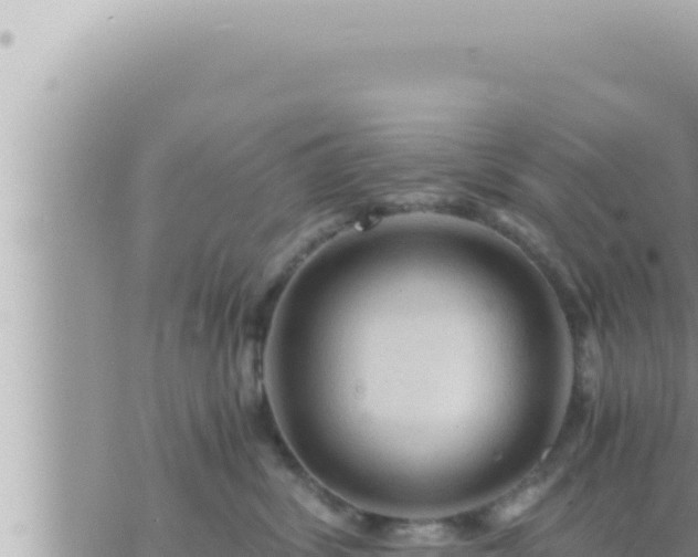 X0000073750428200608102025