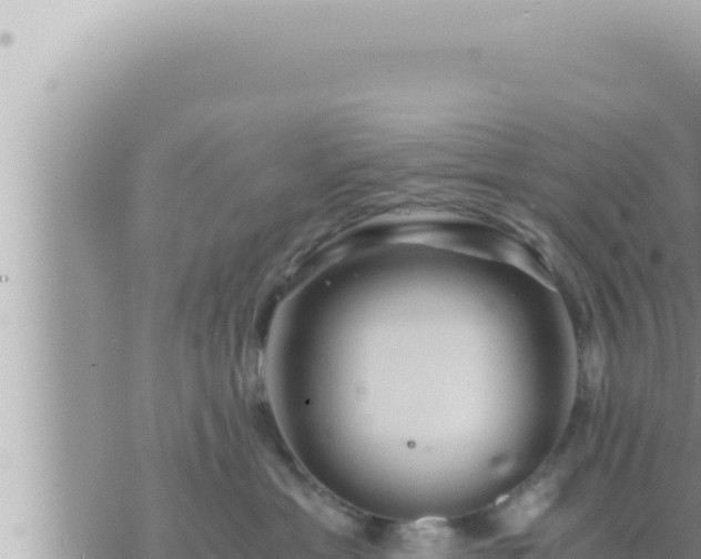 X0000073750429200608102025