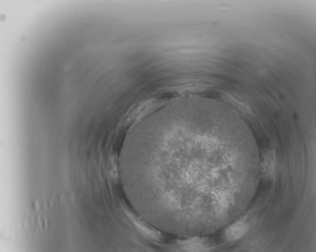 X0000073750430200608102025