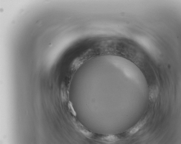 X0000073750431200608102025