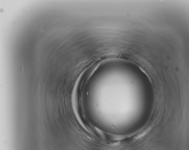 X0000073750432200608102025