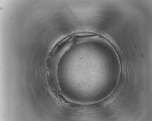 X0000073750434200608102024