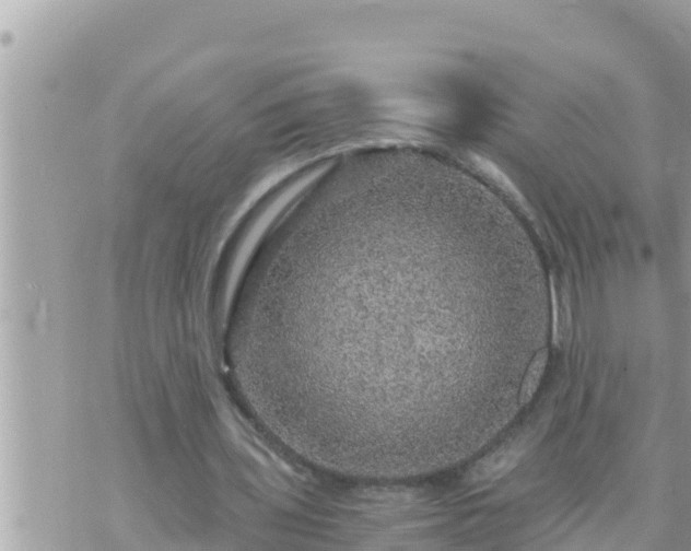 X0000073750435200608102024