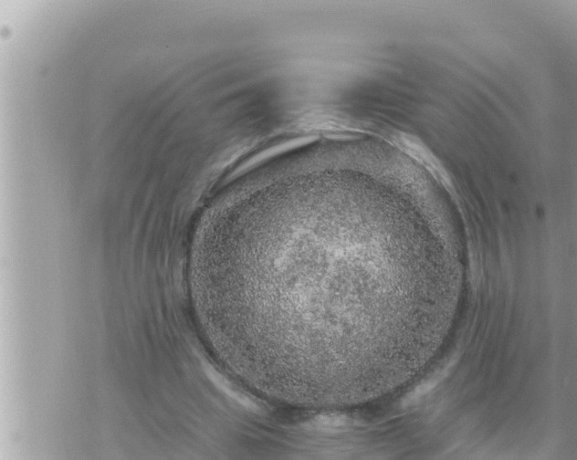 X0000073750441200608102024