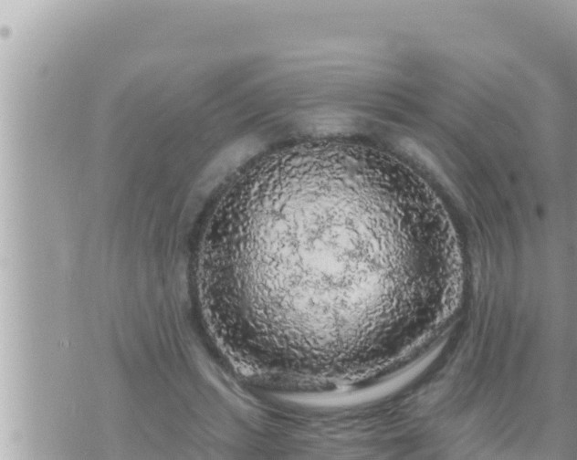 X0000073750447200608102024