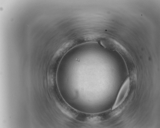 X0000073750452200608102024