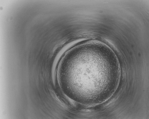 X0000073750453200608102024