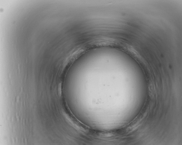 X0000073750454200608102024