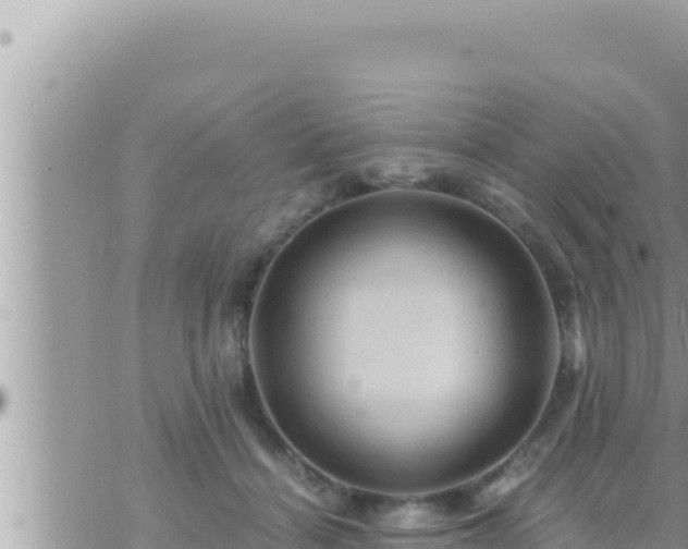 X0000073750460200608102025