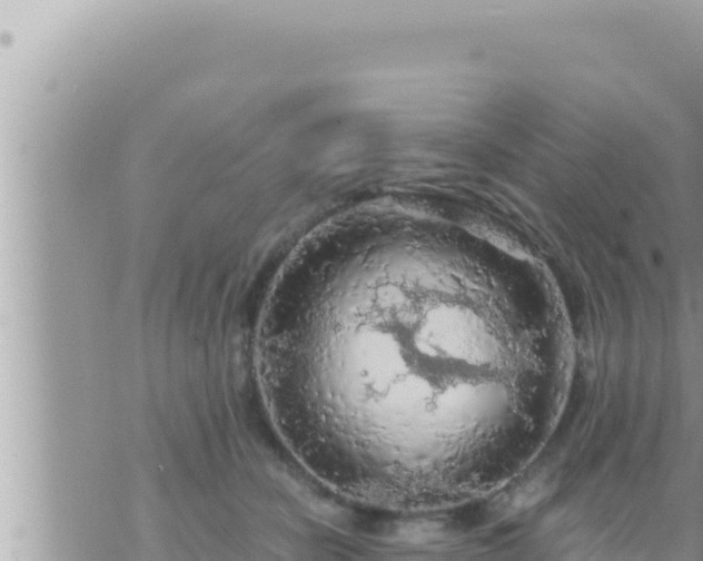 X0000073750462200608102025