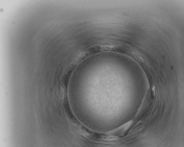 X0000073750463200608102025