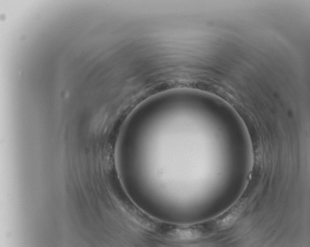 X0000073750464200608102025