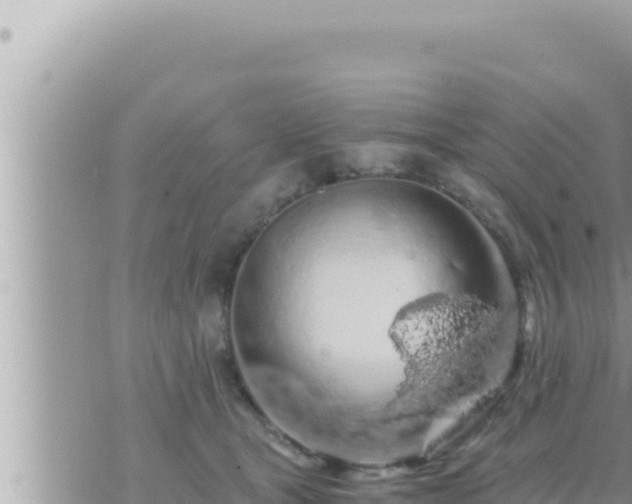 X0000073750465200608102025