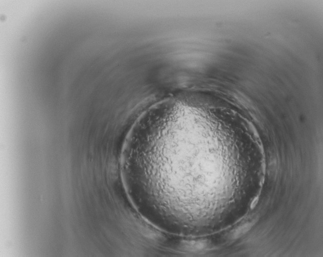 X0000073750469200608102025