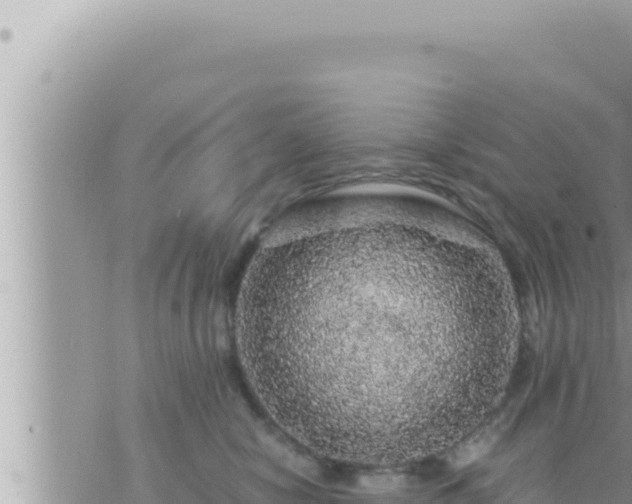 X0000073750470200608102025