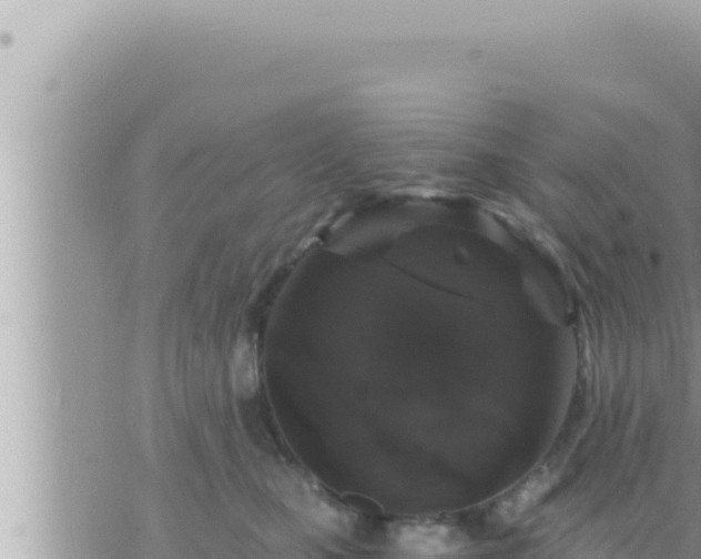 X0000073750471200608102025