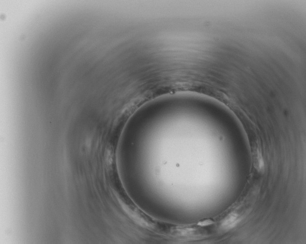 X0000073750472200608102025