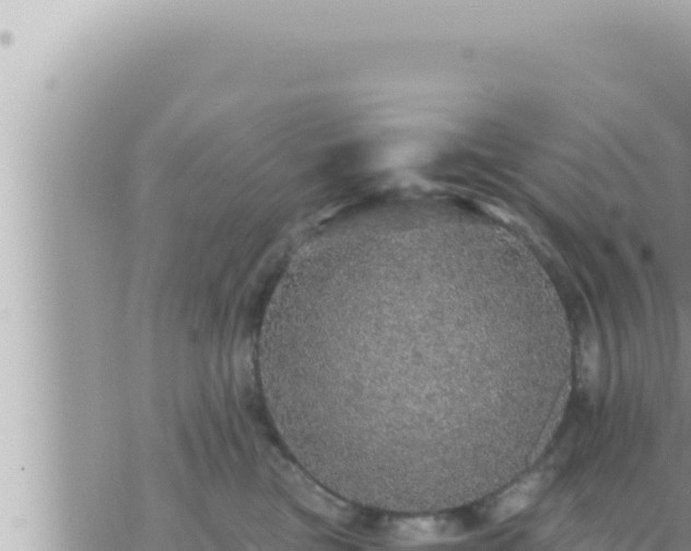 X0000073750473200608102025