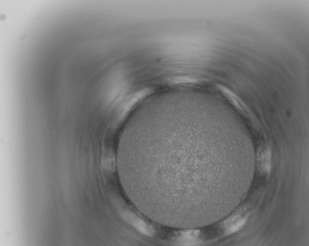 X0000073750474200608102025