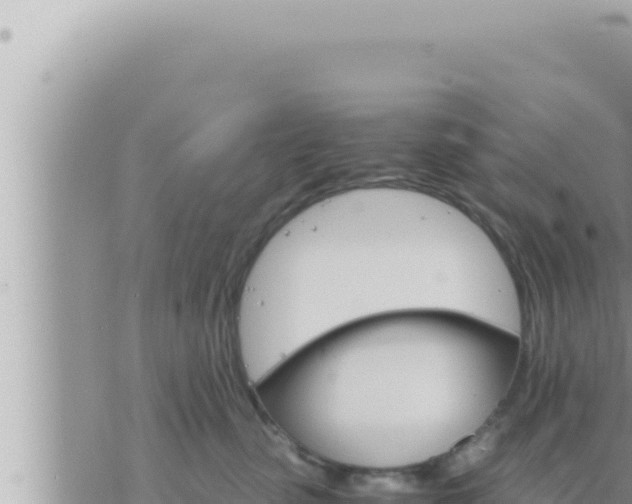 X0000073750475200608102025