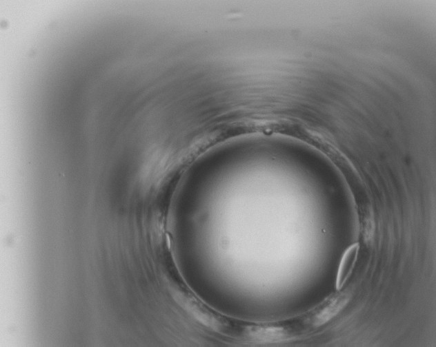 X0000073750476200608102025