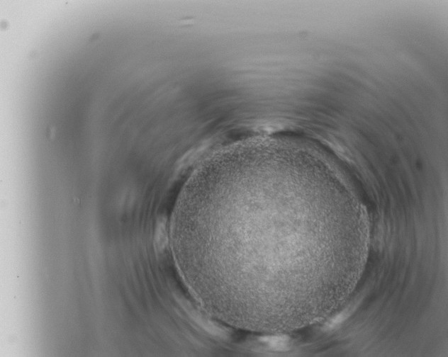 X0000073750478200608102025