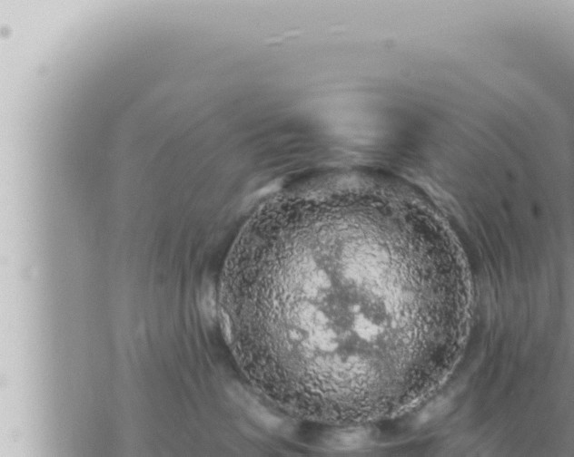 X0000073750479200608102025