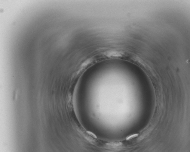 X0000073750480200608102025