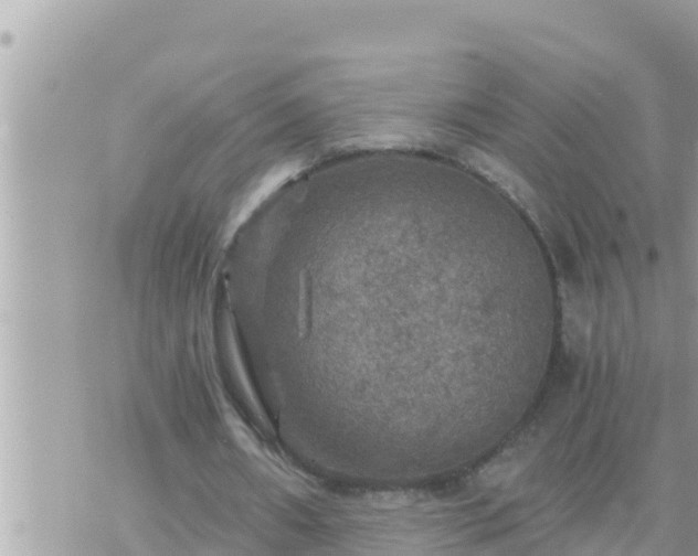 X0000073750482200608102024