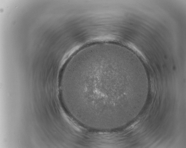 X0000073750486200608102024