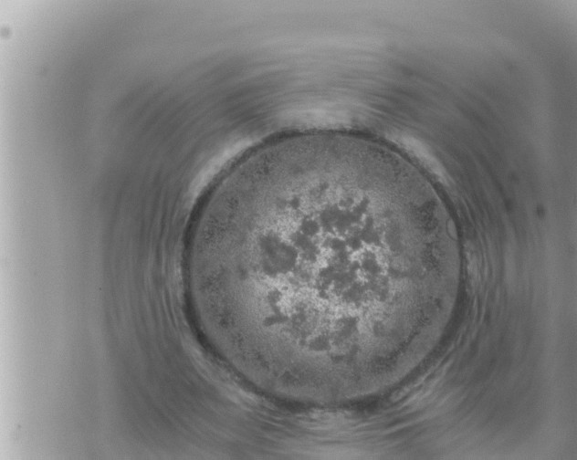 X0000073750487200608102024