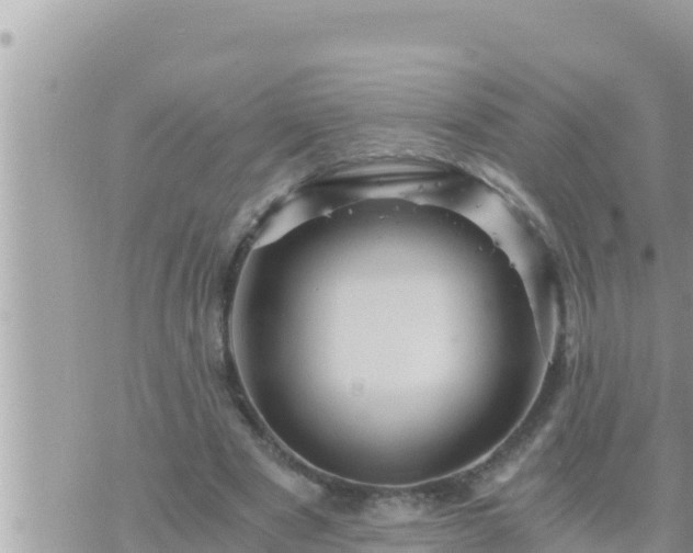 X0000073750489200608102024