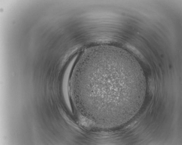 X0000073750494200608102024