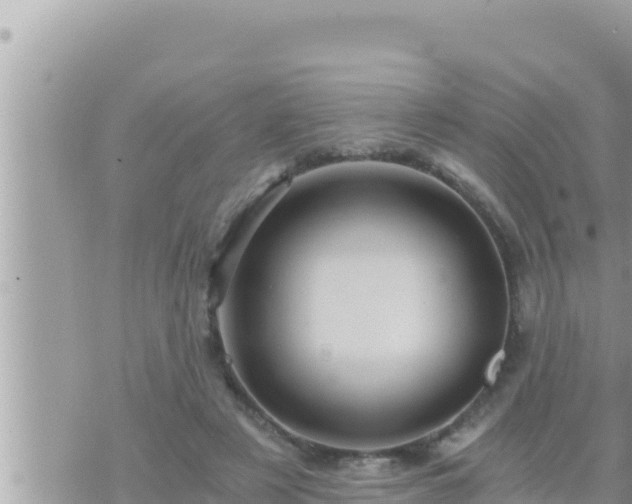 X0000073750497200608102024