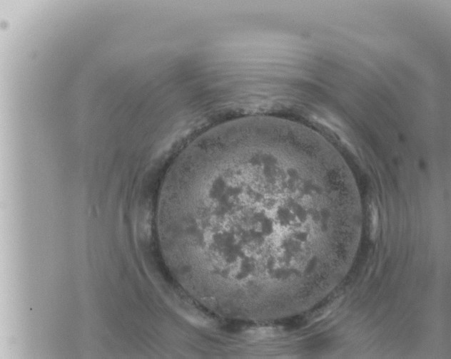 X0000073750499200608102024