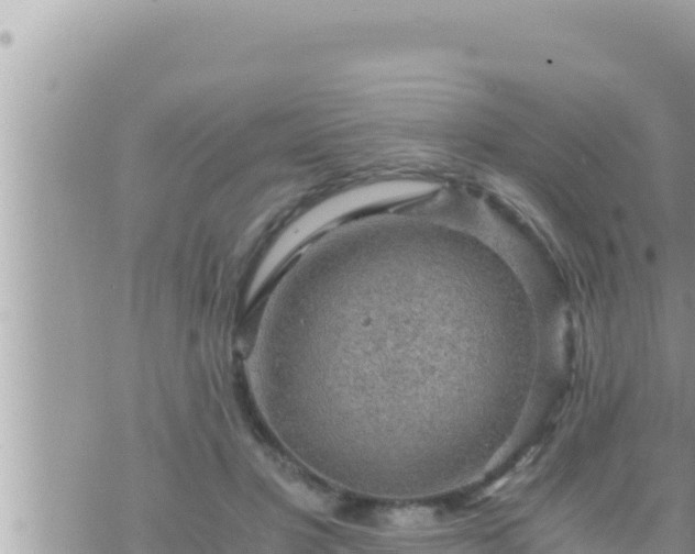 X0000073750501200608102024