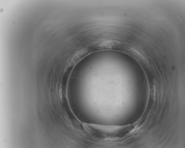 X0000073750504200608102024