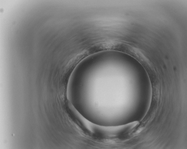 X0000073750505200608102024