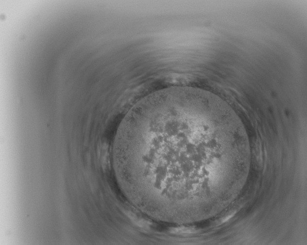 X0000073750511200608102024