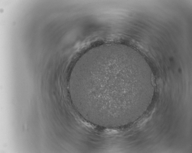 X0000073750913200608102016