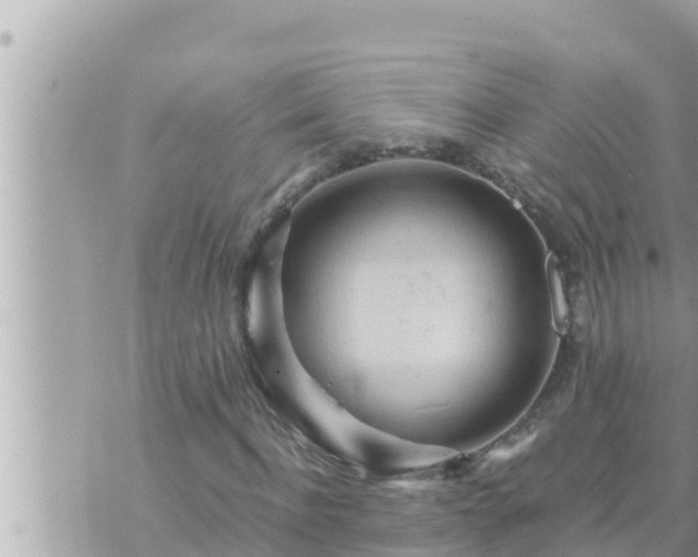 X0000073750916200608102016