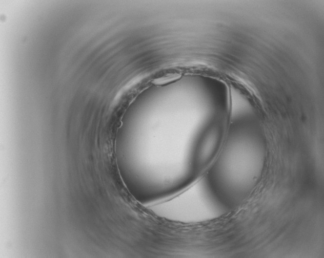 X0000073750920200608102016