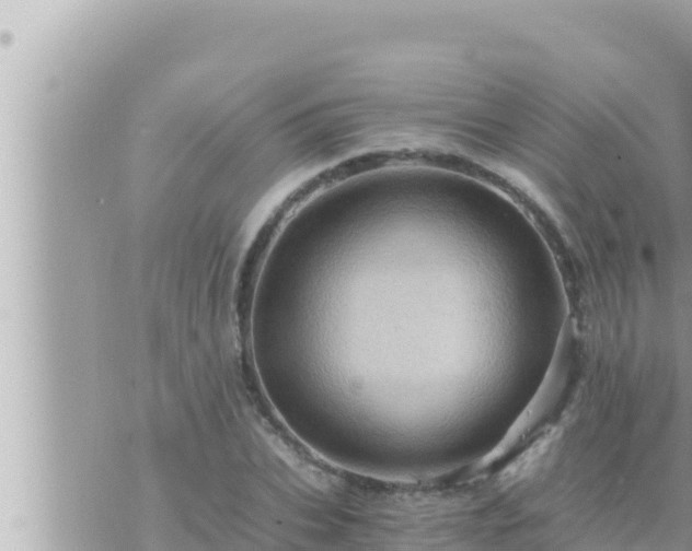 X0000073750927200608102016