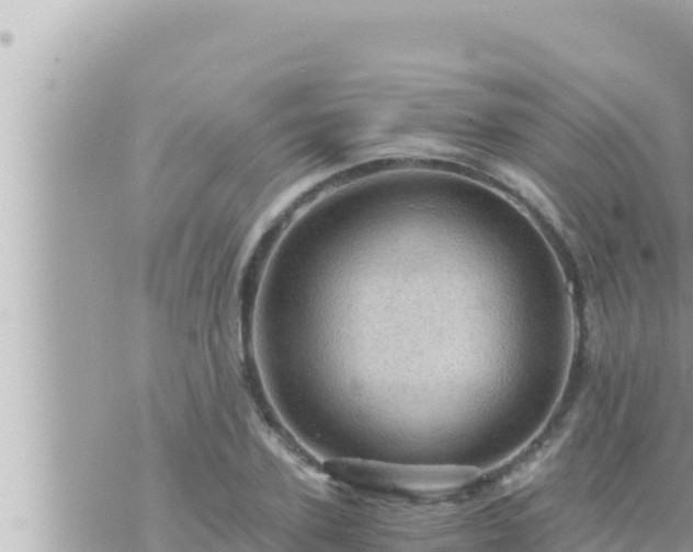 X0000073750931200608102016