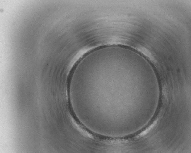 X0000073750934200608102016