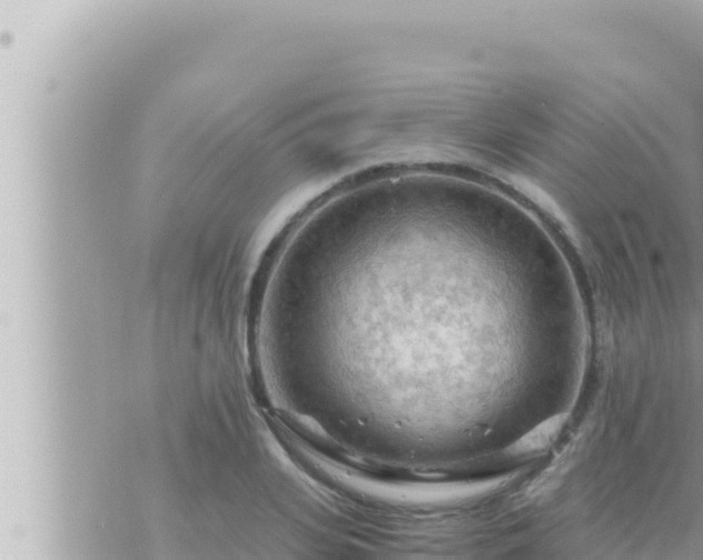 X0000073750935200608102016