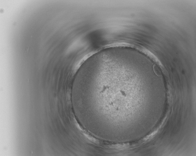 X0000073750937200608102016